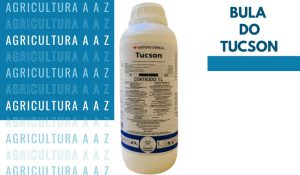 Leia mais sobre o artigo bula do TUCSON: composição, doses, aplicação e cuidados