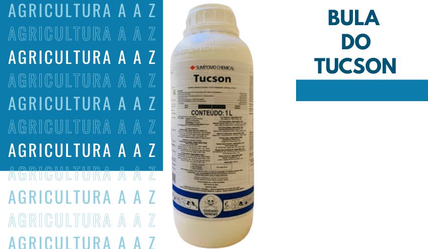 Leia mais sobre o artigo bula do TUCSON: composição, doses, aplicação e cuidados