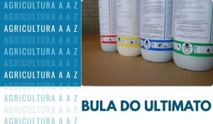 Leia mais sobre o artigo Bula do Ultimato SC CI: informações completas