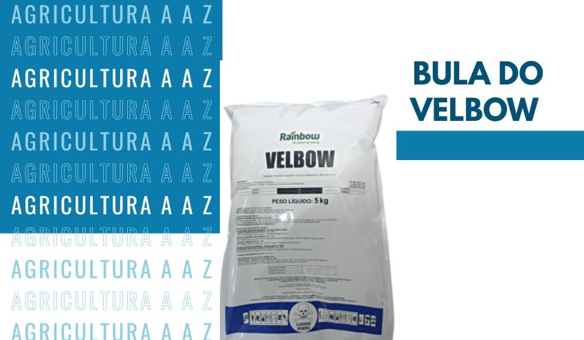 Leia mais sobre o artigo Bula do Velbow CI: informações completas sobre Diurom