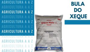 Leia mais sobre o artigo Bula do Xeque Mate HT CI: informações completas