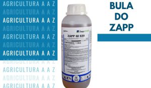 Leia mais sobre o artigo Bula do Zapp QI 620 CI: informações completas