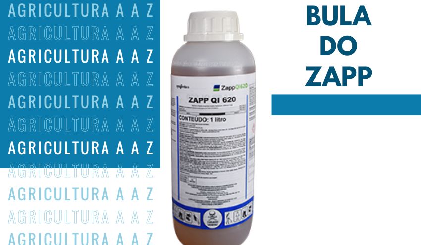 Leia mais sobre o artigo Bula do Zapp QI 620 CI: informações completas