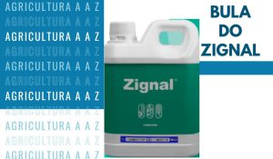 Leia mais sobre o artigo Bula do Zignal CI: informações completas