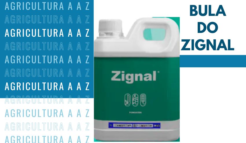 Leia mais sobre o artigo Bula do Zignal CI: informações completas