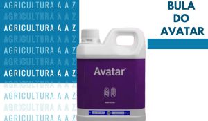 Leia mais sobre o artigo Bula do Avatar CI: informações completas