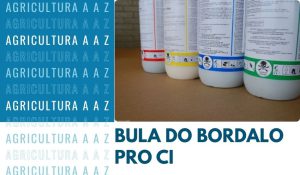 Leia mais sobre o artigo Bula do Bordalo Pro CI: informações completas