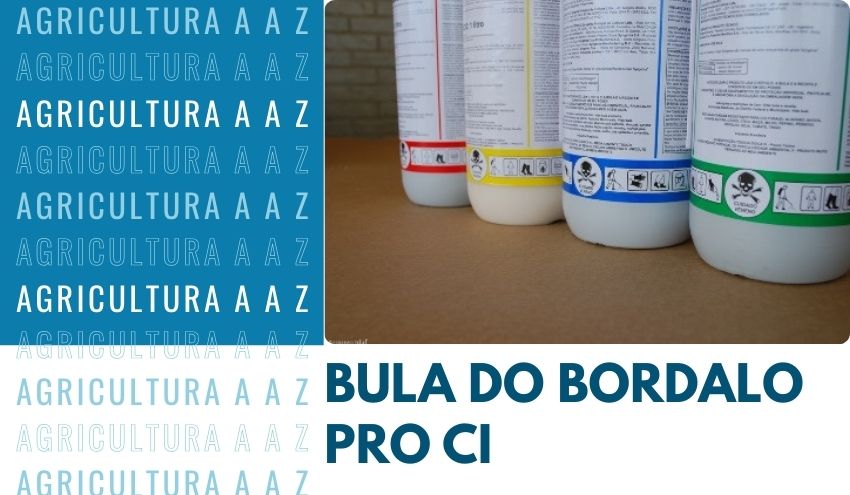 Leia mais sobre o artigo Bula do Bordalo Pro CI: informações completas