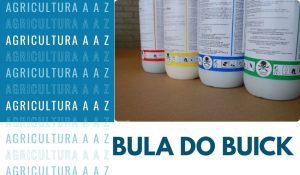 Leia mais sobre o artigo Bula do Buick CI: informações completas