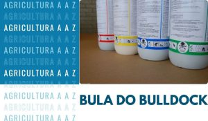Leia mais sobre o artigo Bula do Bulldock 125 SC CI: informações completas