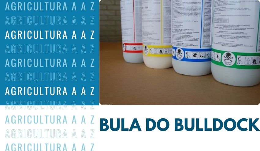 Leia mais sobre o artigo Bula do Bulldock 125 SC CI: informações completas
