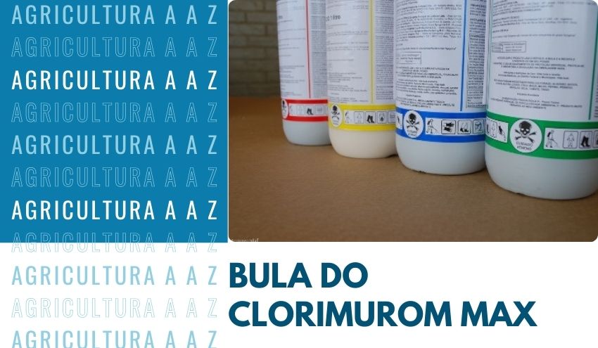 Leia mais sobre o artigo Bula do Clorimurom Max Nortox CI: informações completas
