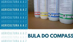 Leia mais sobre o artigo Bula do Compass CI: informações completas