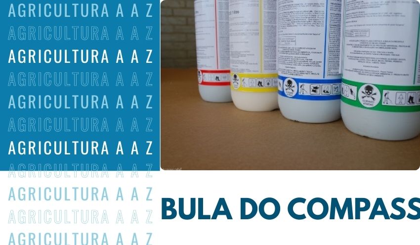 Leia mais sobre o artigo Bula do Compass CI: informações completas