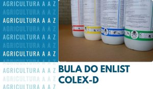 Leia mais sobre o artigo Bula do Enlist Colex-D CI: informações completas