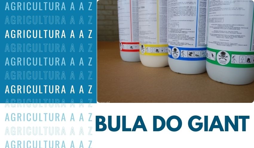 Leia mais sobre o artigo Bula do Giant CI: informações completas