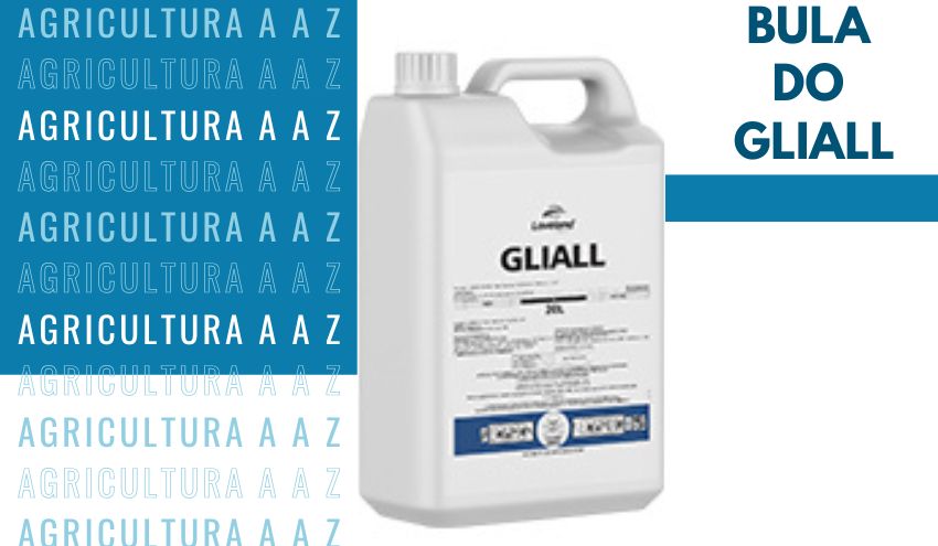 Leia mais sobre o artigo Bula do Gliall CI: informações completas