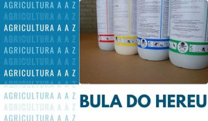 Leia mais sobre o artigo Bula do Hereu CI: informações completa
