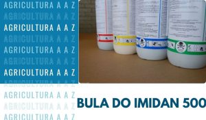 Leia mais sobre o artigo Bula do Imidan 500 WP CI: informações completas