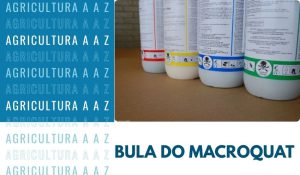 Leia mais sobre o artigo Bula do Macroquat 200 SL CI: informações completas