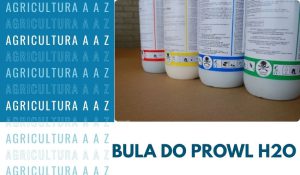 Leia mais sobre o artigo Bula do Prowl H2O CI: informações completas