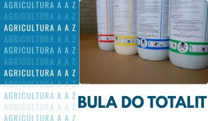 Leia mais sobre o artigo Bula do Totalit CI: informações completas