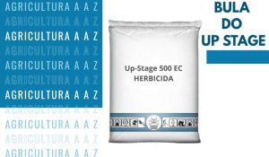 Leia mais sobre o artigo Bula do UP STAGE CI: informações completas