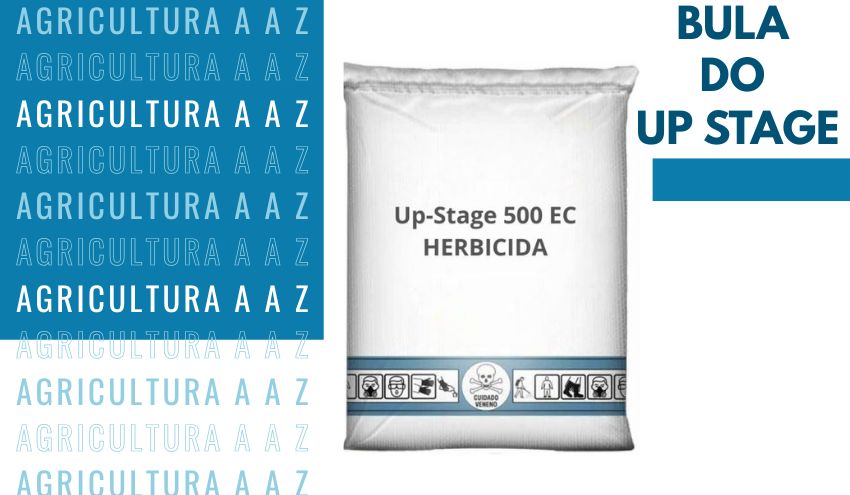 Leia mais sobre o artigo Bula do UP STAGE CI: informações completas