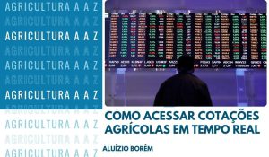 Leia mais sobre o artigo Como Acessar Cotações Agrícolas em Tempo Real
