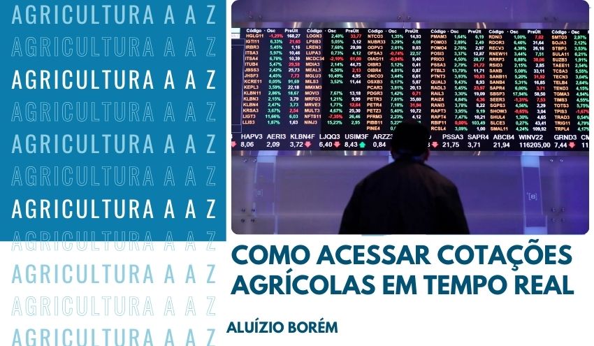 Leia mais sobre o artigo Como Acessar Cotações Agrícolas em Tempo Real